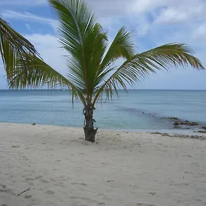 Hotel Hotel Bayahibe